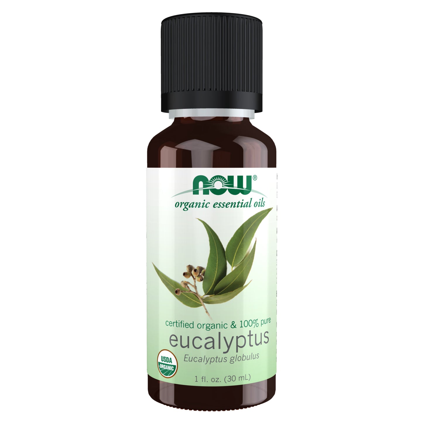 Eucalyptus Globulus Oil, Organic