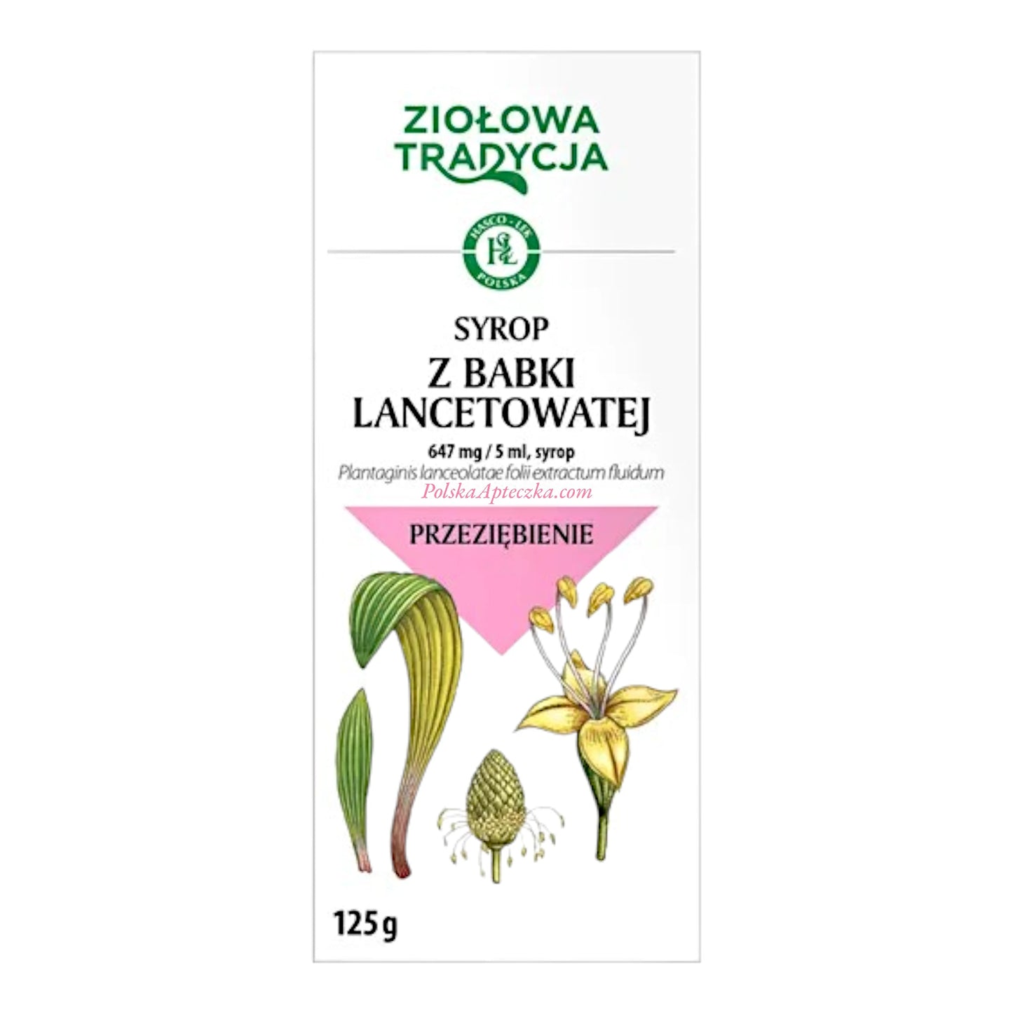Syrop z Babki Lancetowatej (Plantain Leaf Syrup) 125ml