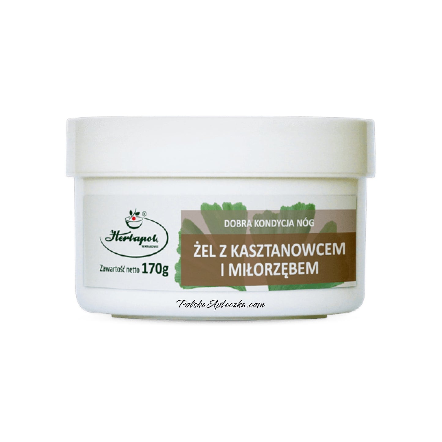 Chestnut and Ginkgo Gel