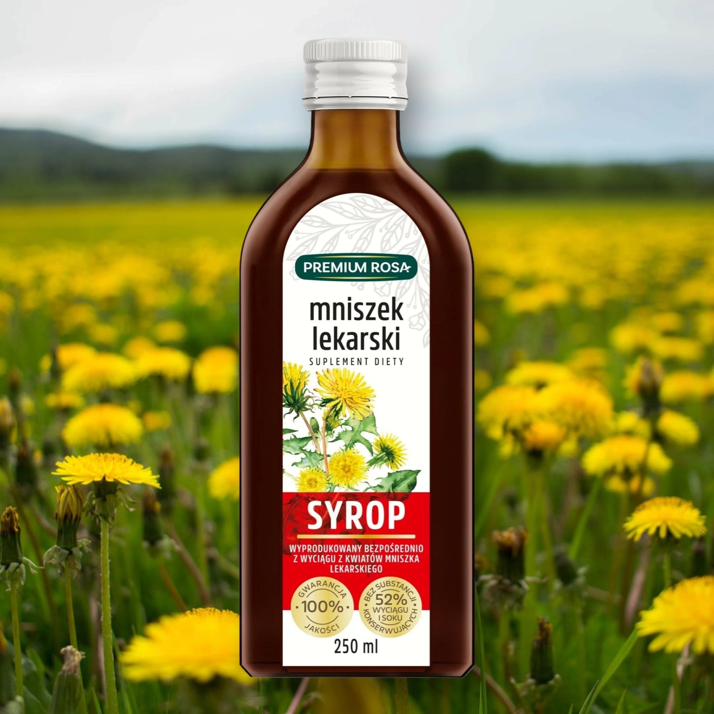 Mniszek lekarski syrop preium rosa