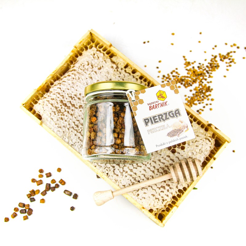 Pierzga pszczela
