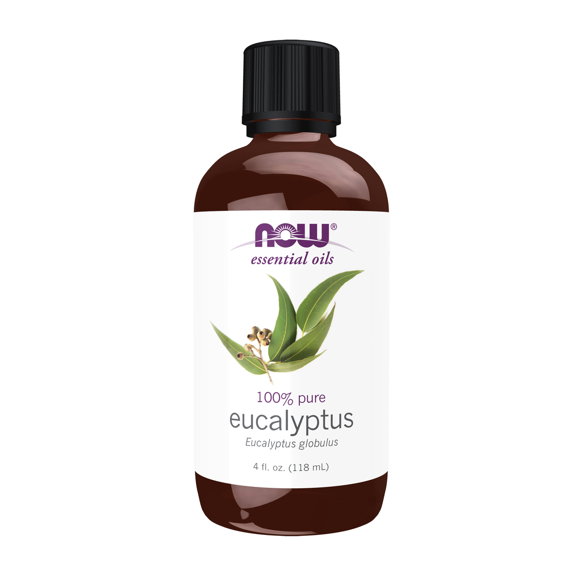 NOW Foods Eucalyptus Globulus Oil - 4 fl. oz. / eukaliptus Globulus olejek - 4 fl oz
