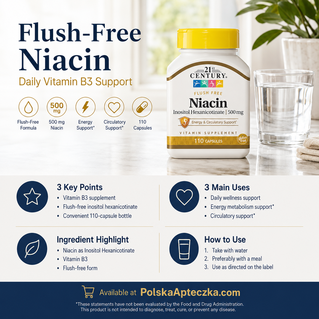 21st Century Flush Free Niacin 500mg 110 Capsules Infographic