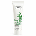 Avocado Oil Regenerating Hand Cream 100ml - Ziaja product packaging on a white background