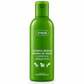 Olive Oil Daily Hair Conditioner 200ml - Ziaja product packaging on a white background