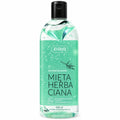 Vegan Tea Mint Shower Gel 500ml - Ziaja product packaging on a white background