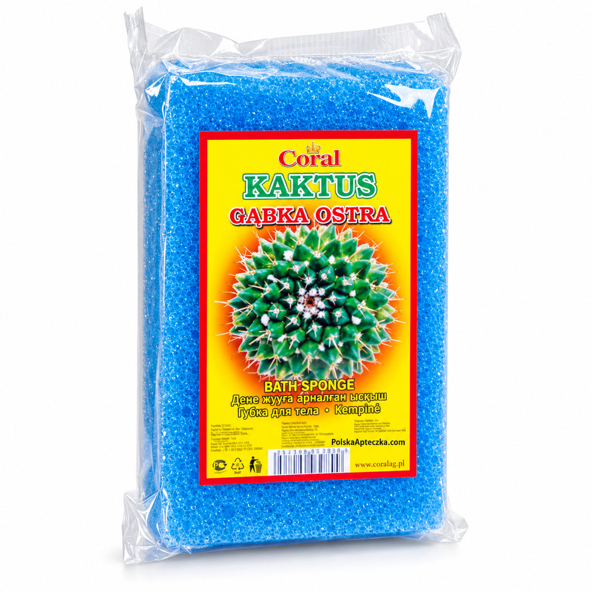 CORAL Kaktus coarse rectangular bath sponge, 1 pc / CORAL Kaktus gąbka kąpielowa ostra, 1 szt.