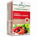 Energy Herbal Tea with Guarana – 20 Tea Bags – Herbapol Krakow – premium product photo