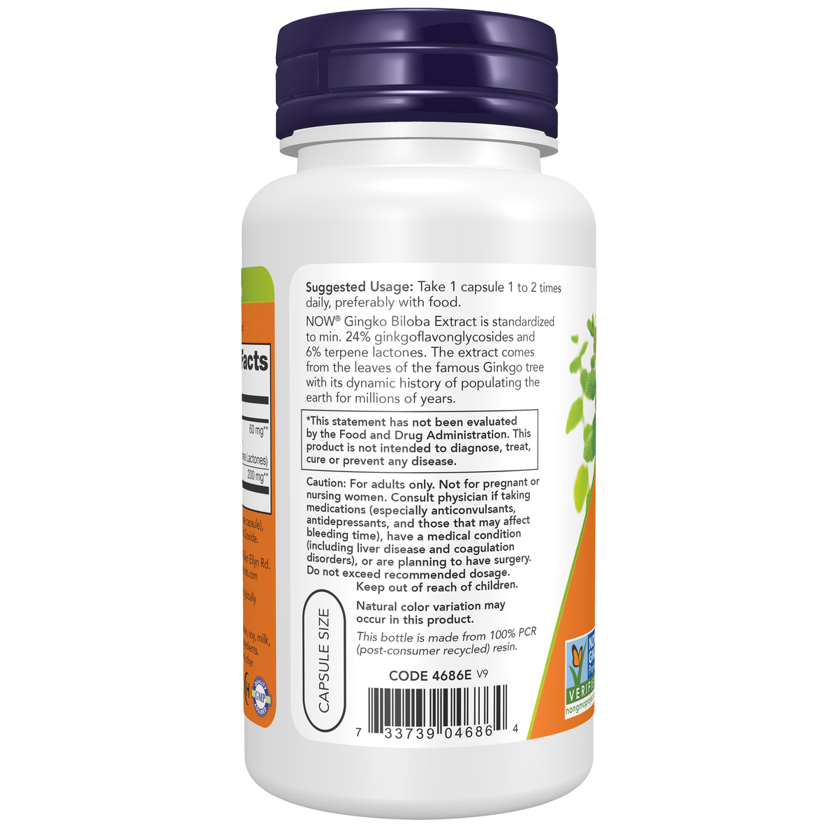 NOW Foods Ginkgo Biloba 60 mg - 60 Veg Capsules – Left label / Etykieta producenta