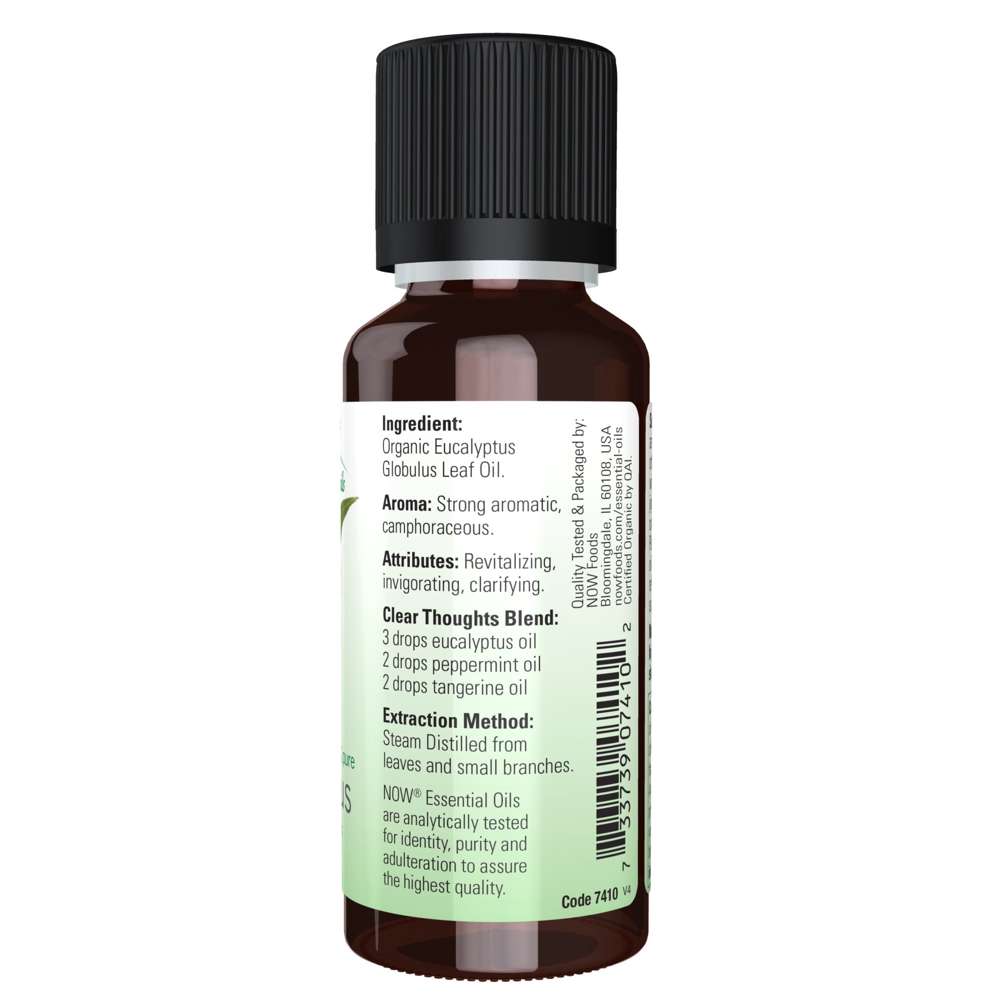 Eucalyptus Globulus Oil, Organic