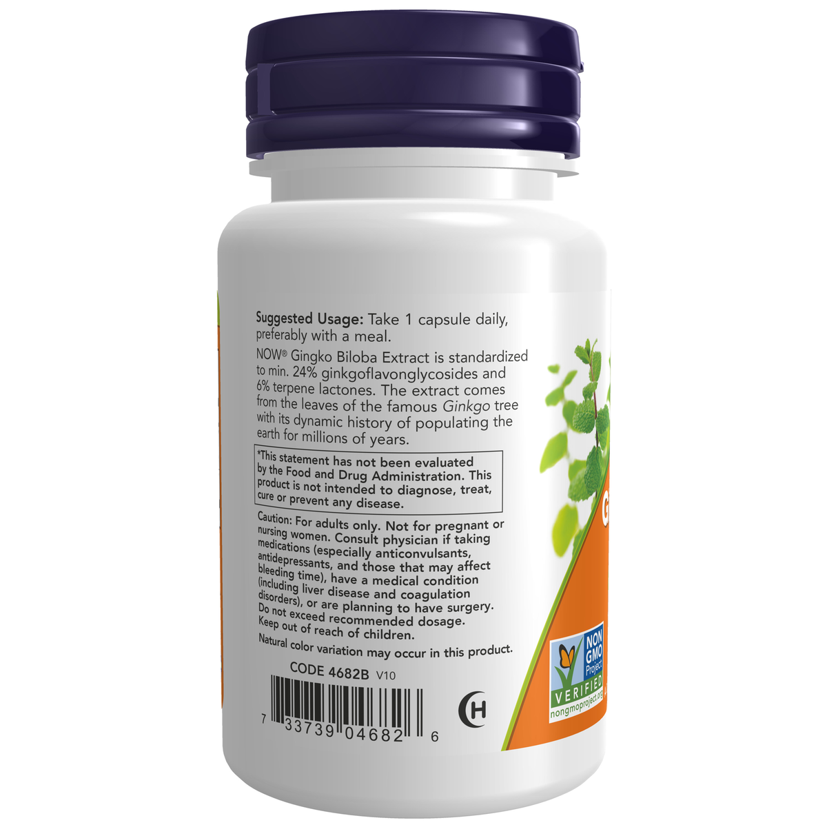 NOW Foods Ginkgo Biloba, Double Strength 120 mg - 50 Veg Capsules – Label details / Etykieta producenta