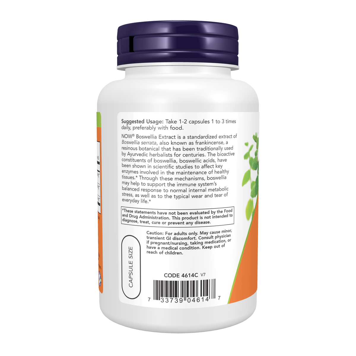 NOW Foods Boswellia Extract 250 mg - 120 Veg Capsules – Left label / Etykieta producenta
