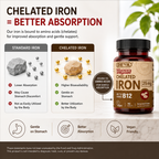 Chelated Iron 29 mg with Vitamin B12 – High Absorption Iron Supplement for Energy, Red Blood Cells & Vegan Iron Support ingredients