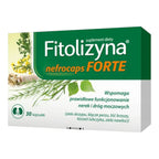 Fitolizyna Nefrocaps Forte herbal kidney and urinary tract support capsules