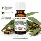 Herbapol Eucalyptus Essential Oil 10 ml uses