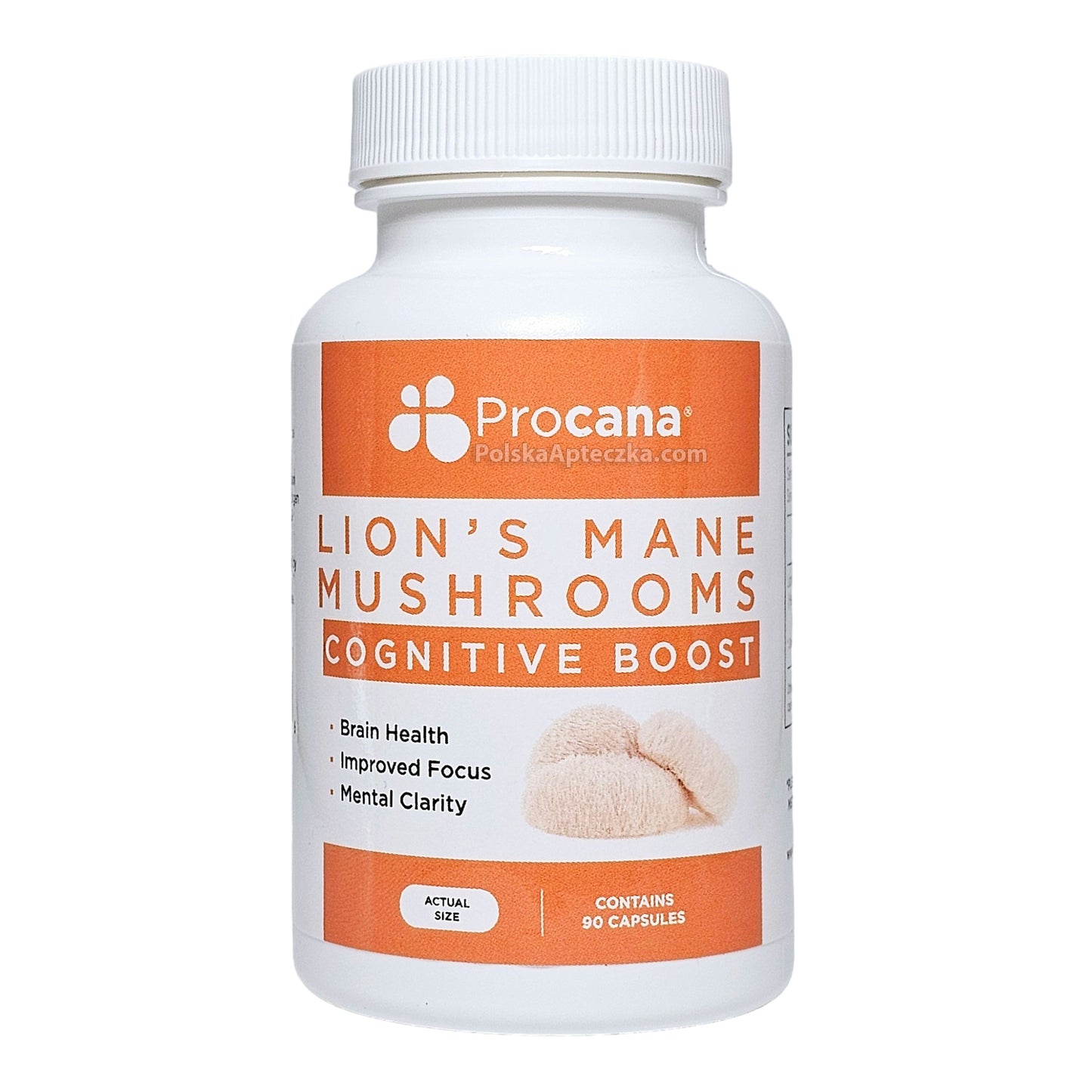 Lion's Mane Mushrooms 90 capsules