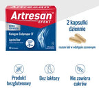Artresan Efekt 60 capsules