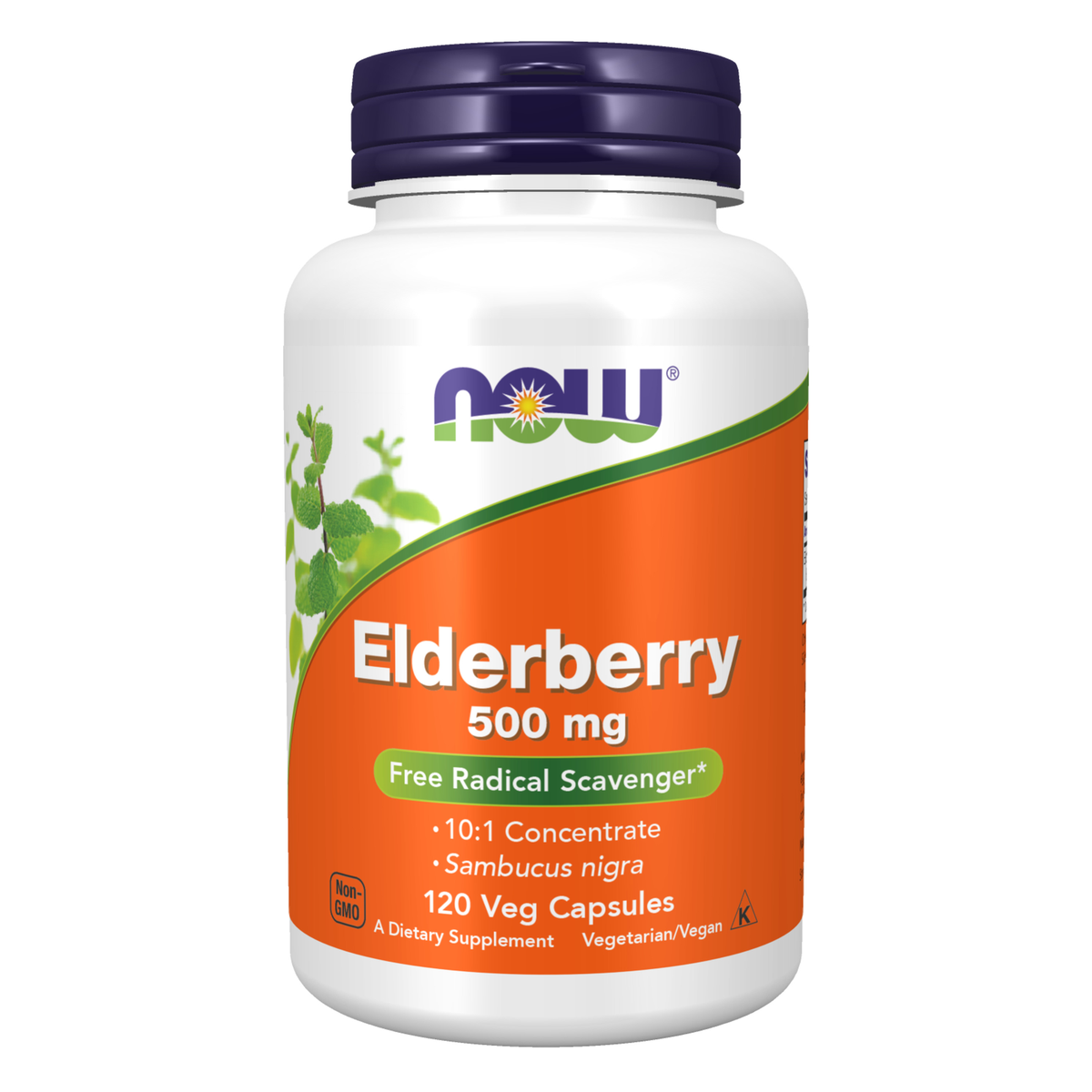 NOW Foods Elderberry 500 mg - 120 Veg Capsules / bez czarny 500 mg - 120 kapsułek roślinnych