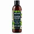 Barwa Ziołowa Birch Shampoo for Normal & Dry Hair, 250 ml – single bottle on white | Barwa Ziołowa Szampon brzozowy, 250 ml