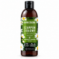 Barwa Ziołowa Chamomile Shampoo for Fair Hair, 250 ml – single bottle on white | Barwa Ziołowa Szampon rumiankowy do włosów jasnych, 250 ml