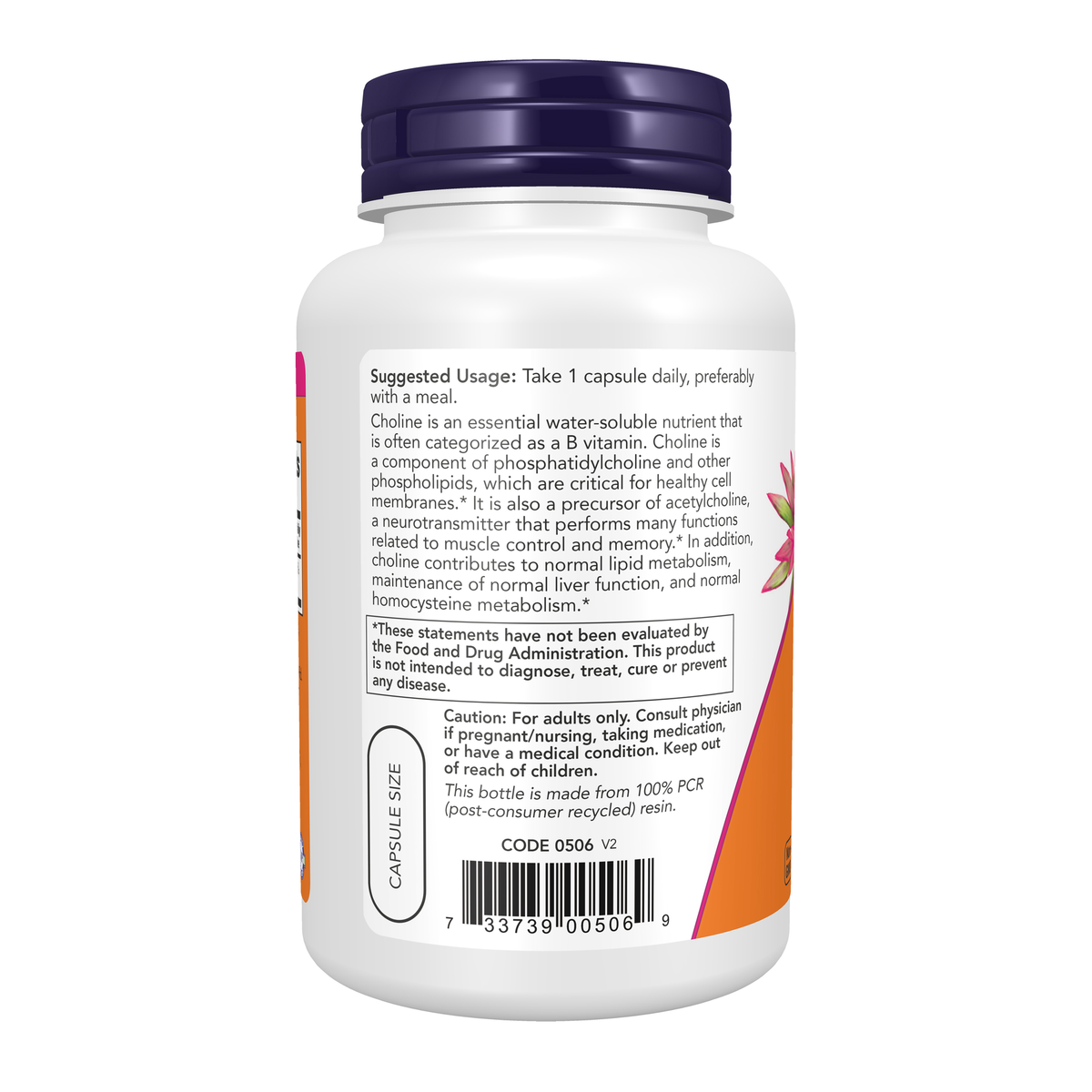 NOW Foods Choline 300 mg - 100 Veg Capsules – Left label / Etykieta producenta