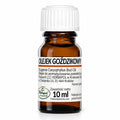 Clove Essential Oil 10ml – Herbapol | Olejek goździkowy 10ml – Herbapol