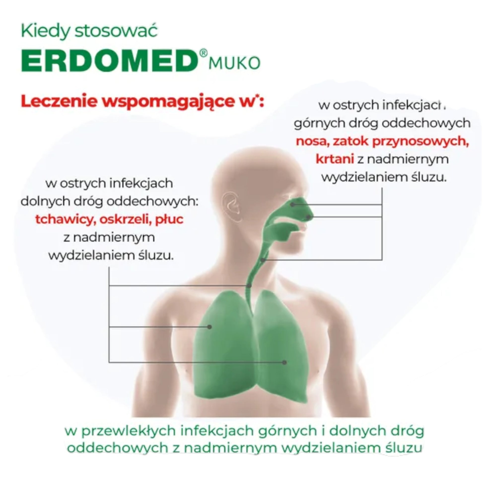 erdomed muko