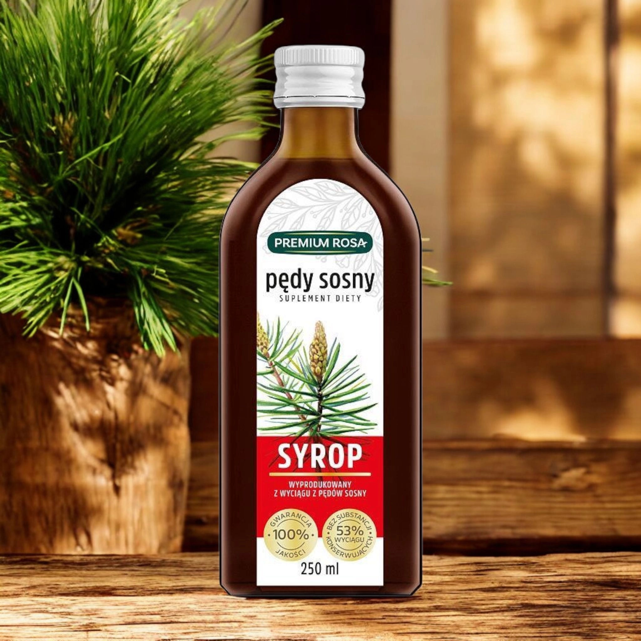 Pine shoot cough syrup premium rosa