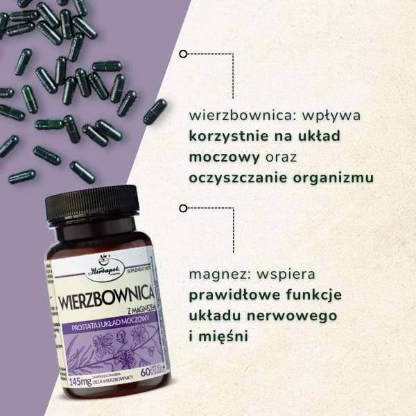 Wierzbownica z Magnezem, Prostata i układ moczowy